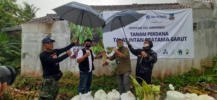 PT Jamkrindo Beri 1.000 Bibit Talas Pratama Garut ke UMKM Binaan
